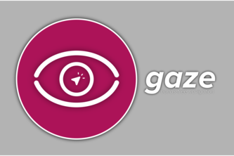  Gaze