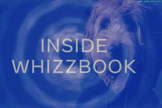 Inside Whizzbook: The Rise and Fall of a Social Petwork