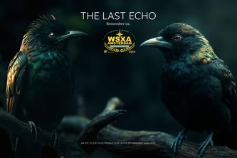 The Last Echo
