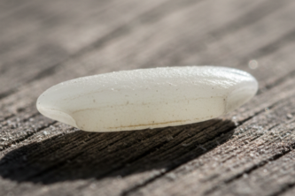 A Grain of Rice