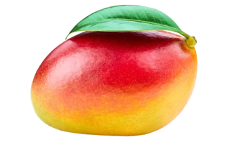 Mangio