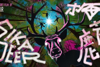 Sika Deer