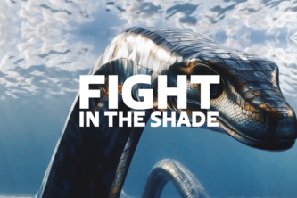 FIGHT IN THE SHADE