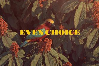 EVE'S CHOICE