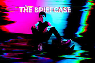 THE BRIEFCASE