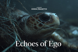 Echoes of Ego