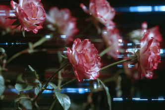 Producer to an AI Star: The Lilith A. Experiment