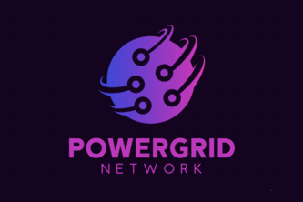 PowerGrid Network