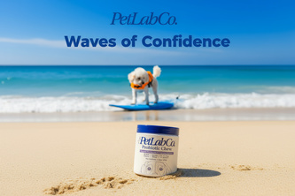 Waves of Confidence - Spec AD for PetLabs Co.