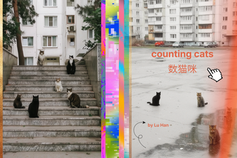 Counting Cats