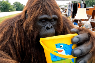 "Bigfoot's Wallet Woes" 