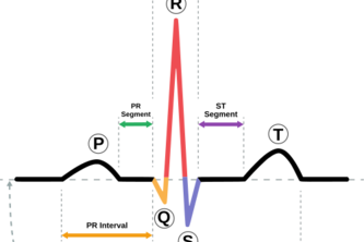 BPNet