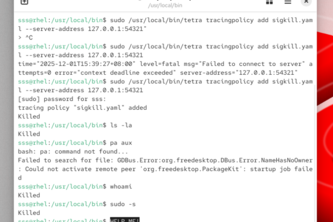 Tetragon on RHEL 10: A Junior's first impression 