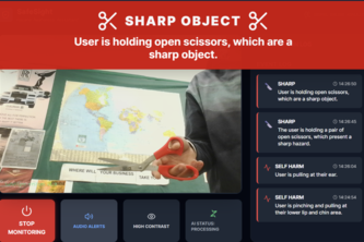 SafeSight AI Hazard Detection for CIP Patients