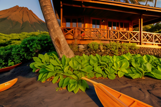 Hawaiian Relaxation Retreat