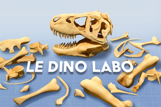 Le Dino Labo