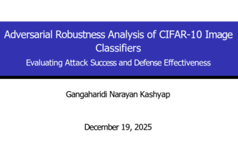 Adversarial Robustness Analysis of CIFAR10 Image Classifiers