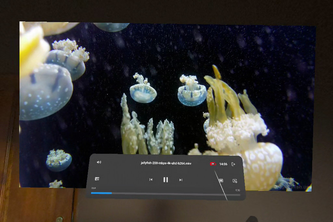 Emei VR Video Player
