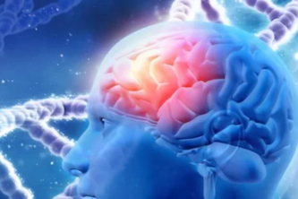 AI4Alzheimer – Early Detection Dashboard