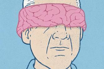 ALZ detector
