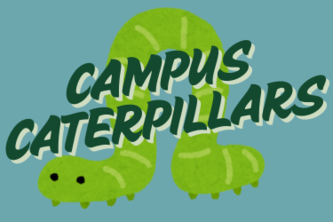 Campus Caterpillars