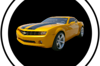Bumblebee Fun Freeway Crossing Game