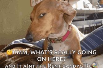 Skibidi-fication 3000