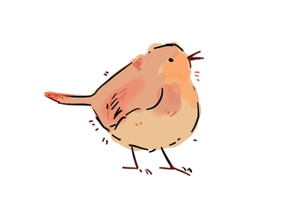 MoneyBird