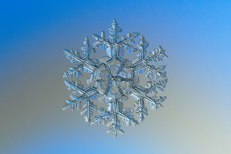 Snow Separatorenator-5000