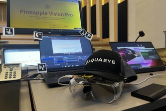 Pineapple Vision Pro