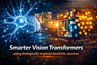 Dendritic Vision Transformer