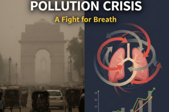 Decoding Delhi’s Pollution Crisis with Hex