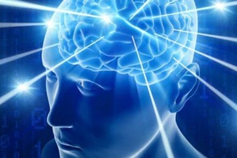 Alzheimer's Risk Screening Model for Physicians