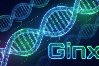 Ginx