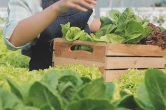 FoodYield-Reducing Food Waste With smart Solutions using AI.