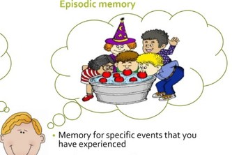 Gemini Episodic Memory (GEM)