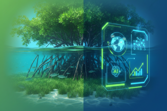 Blue Carbon MRV System