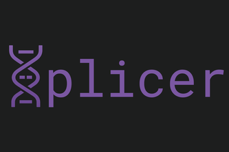 Splicer - Code Migration Agent
