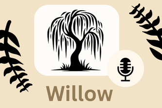 Willow
