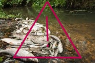 Using weather to predict low dissolved oxygen in waterways