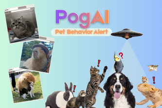 PogAI - Track Your Pets Behavior