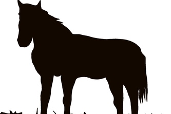 Retirement Home for Horses, Inc. Web-Application