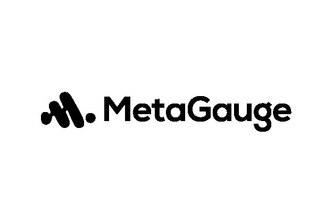 MetaGauge