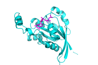 Molecular Analysis CoPilot