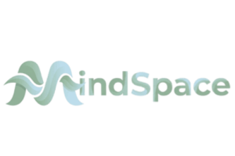 MindSpace – A Privacy-First AI Emotional Support Platform