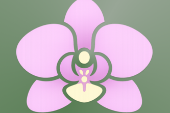 Orchid: Mindful Money