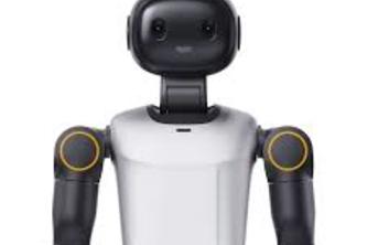 ADAM - Autonomous Disaster Assistance Manager