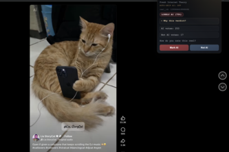 Fresh Internet Theory