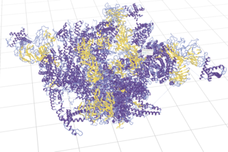 Poke a Protein: Spatial Protein Explorer