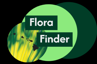 Flora Finder